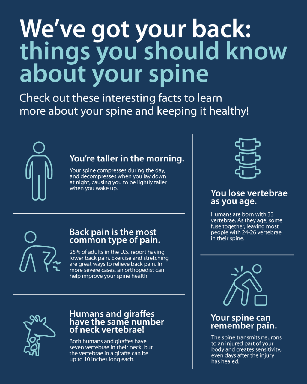 Map of Your Spine [Infographic]